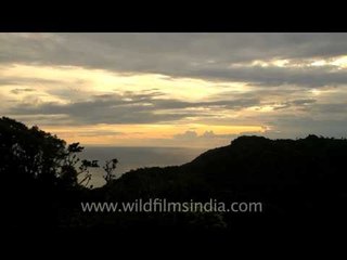 Day to night of Timor forwarded!!