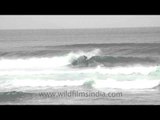 Surfers having a good time in Indonesia