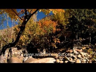Ladakh - the land of Monks