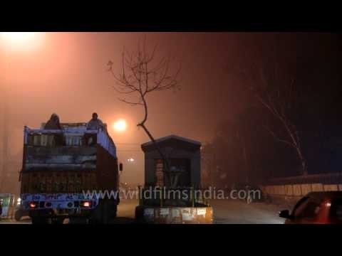 Largest wholesale fruit and vegetable market in Delhi!