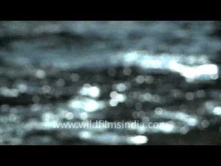 Various moods of a river.