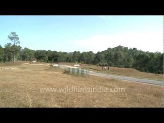 Army Golf Course, Ranikhet