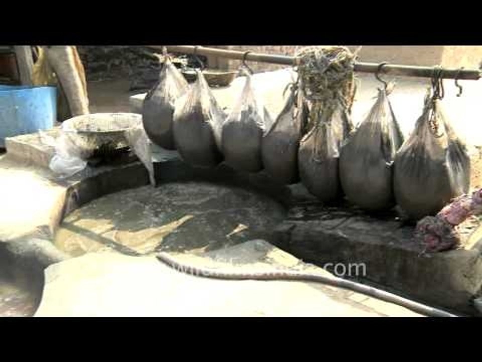 Jaggery making in India