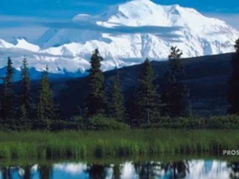 Cruise Agency Dix Hills, NY | (631) 418-8105 |Ron Zilkha of Cruise Holidays