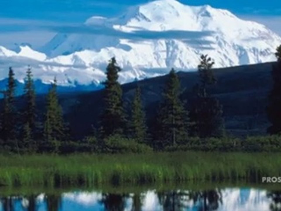 Cruise Agency Dix Hills, NY | (631) 418-8105 |Ron Zilkha of Cruise Holidays