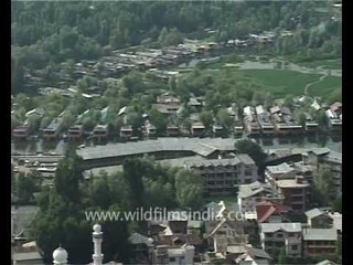 Srinagar valley and Dal lake from Shankaracharya
