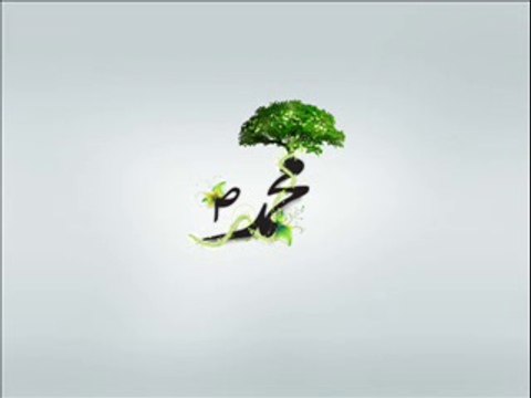 Kuran-ı Kerim'de Sabır ayetleri Meali - Elmalılı Hamdi Yazır - Yusuf Ziya Özkan