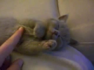 ▩카지노머니№♥◑▷ YAM ７７７.℃OM ◀◐◇카지노머니카지노머니카지노머니카지노머니카지노머니카지노머니카지노머니카지노머니