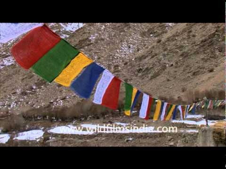 Prayer Flags, Ladakh