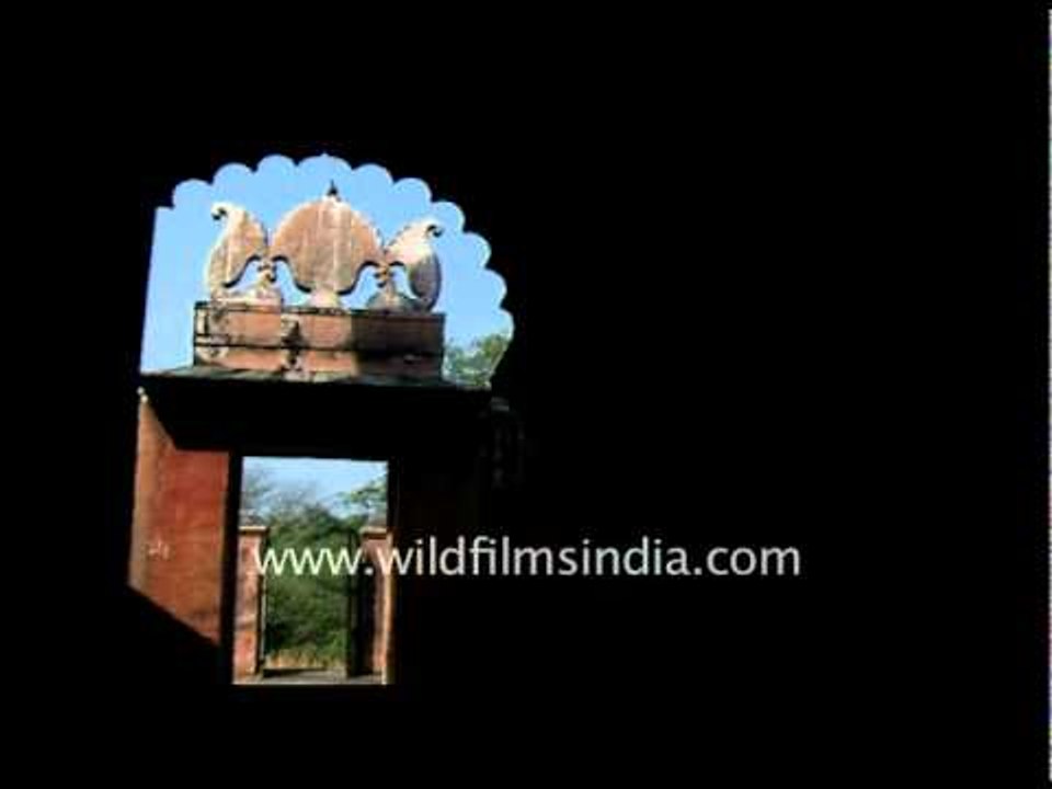 Structure Built in Jaisamand