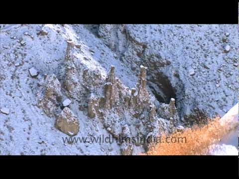 Icy Landscapes of Ladakh