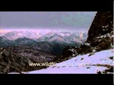 Snow capped mountain ranges, Ladakh