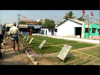 Farming practices, Sonepur Mela