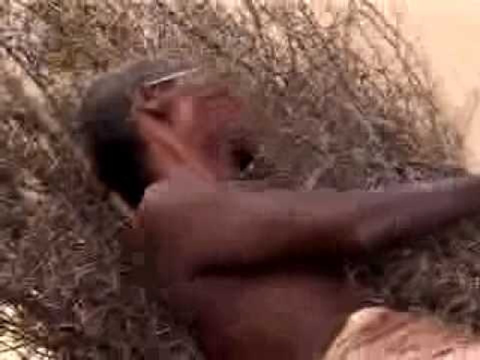 Life is but a bed of thorns!