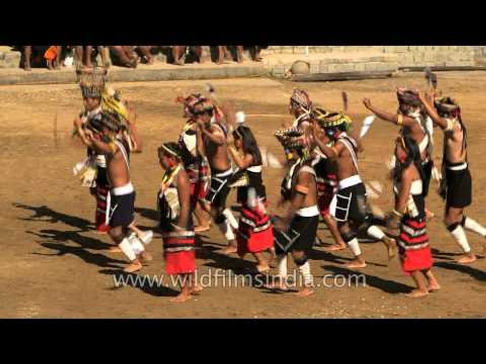 Dancing with hornbill feathers - Zeliang tribe...