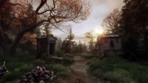 The Vanishing of Ethan Carter - Gamescom 2014 Gameplay Trailer (HD)
