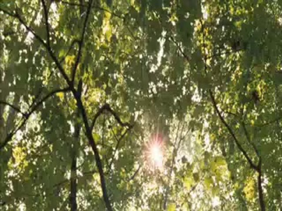 Hayallerin Peşinde - Fragman