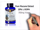 Mucuna L-DOPA - Highest Natural Levels of L Dopa provide Dopamine