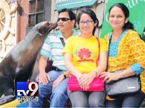 Dahi Handi event fund for Thane Girl 'Swapnali Lad' who is in coma after jumping from Auto-rickshaw - Tv9