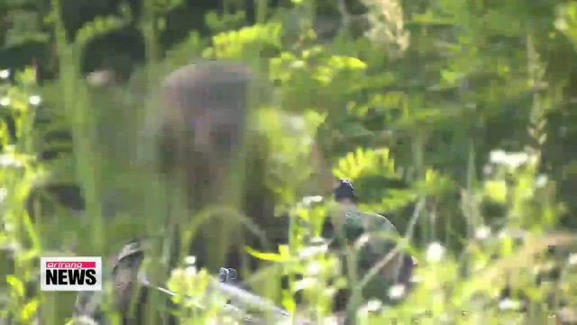 Increased number of suicides raises alarm about military culture