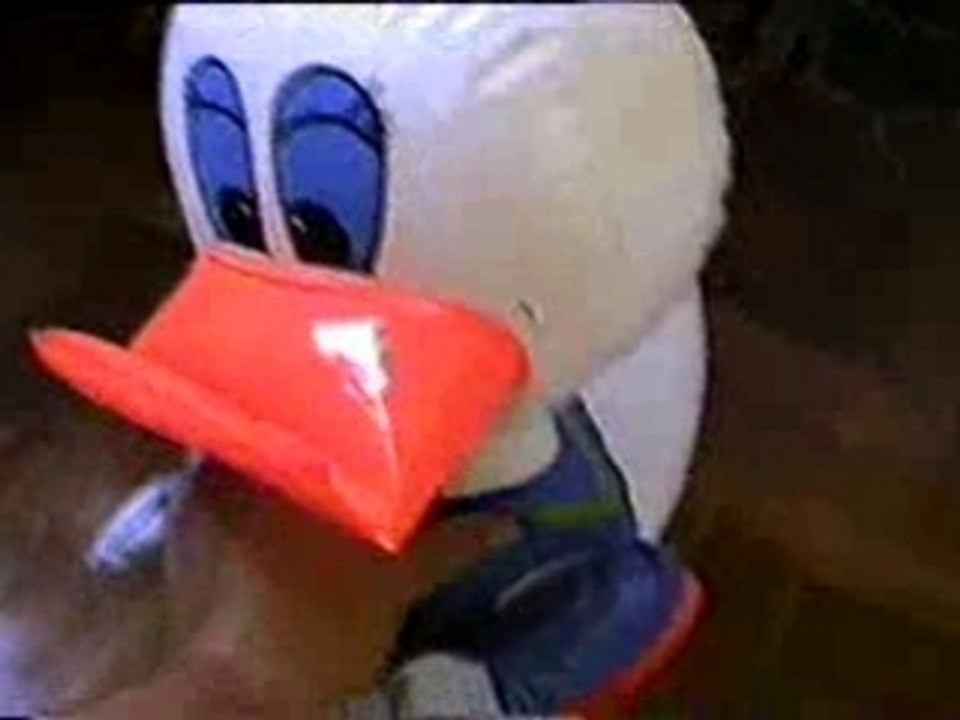 LOUCO 1 - O PATINHO -CRAZY1- LITTLE DUCK