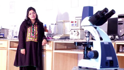Dr. Lubna Shakir at Hajvery University (HU) guidance on Doctor of Pharmacy (Pharm-D)