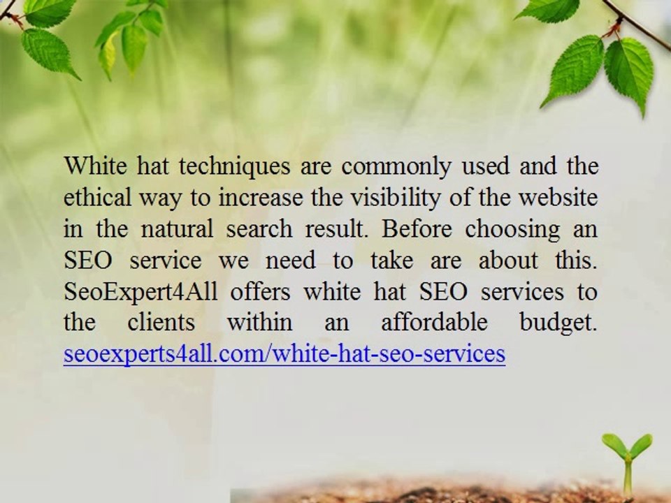White Hat SEO Services