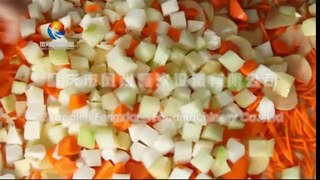 Multifunction Vegetable Cutting Machine