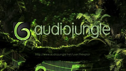 Waiting For The Right Moment  (Royalty Free Music @ AudioJungle)