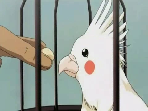 블랙잭주소ㅅ㏖ⓦ━━━☞ＡＣＥ９８９.ＣＯＭ☜━━━ⓦ㏖ㅅ블랙잭주소