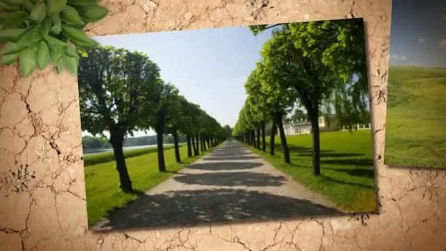 The Undercutters (317) 428-9051