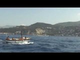Sorrento (NA) - Alga killer sulla costa, bandita pesca frutti di mare (11.08.14)