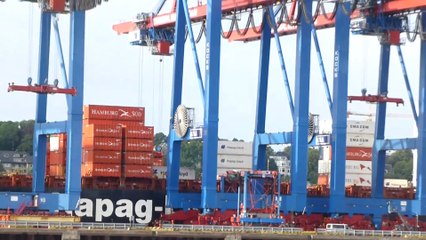 Port de Hambourg - Chariots pour déplacer les containers