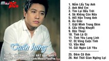 Những Ca Khúc Hay Nhất Của Tuấn Hưng 2014