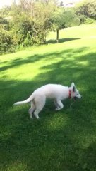 la mere et la fille au parc; tendresse animale