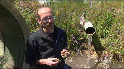 LE BLOGUEUR N°136 - "Danger, espèces invasives !"