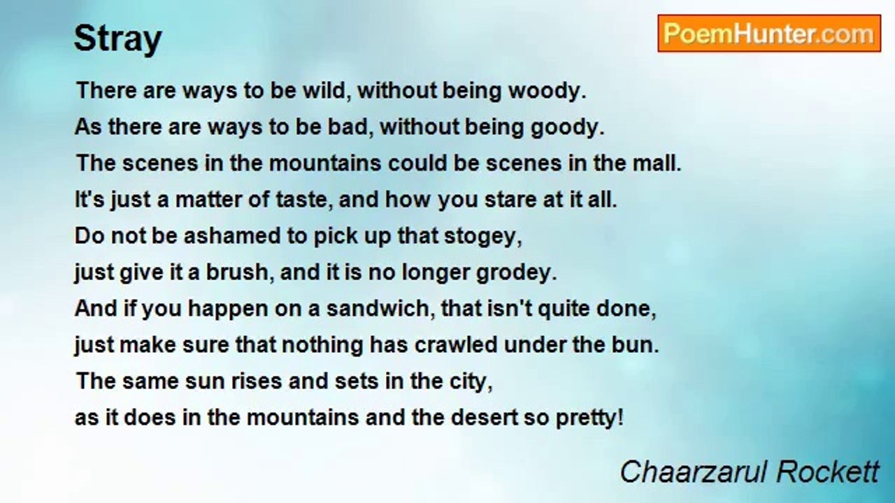 Chaarzarul Rockett - Stray