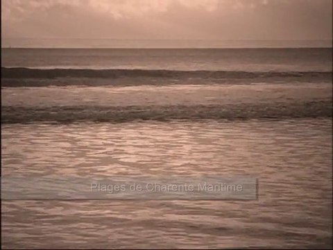 Saint Palais sur Mer (17420) Plage et vacances