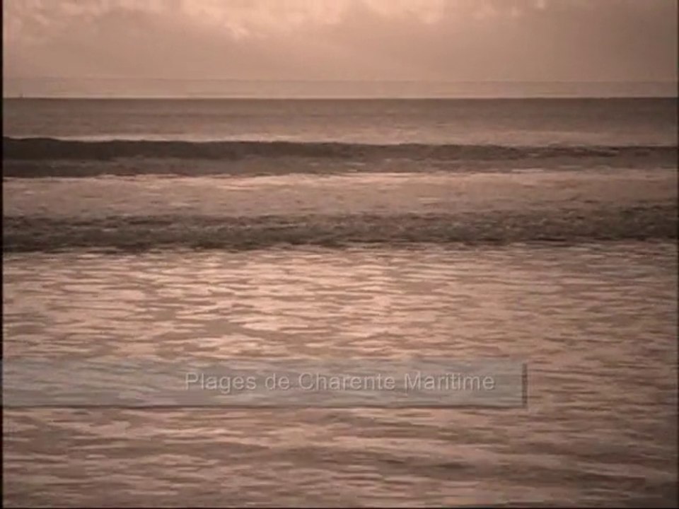 Saint Palais sur Mer (17420) Plage et vacances