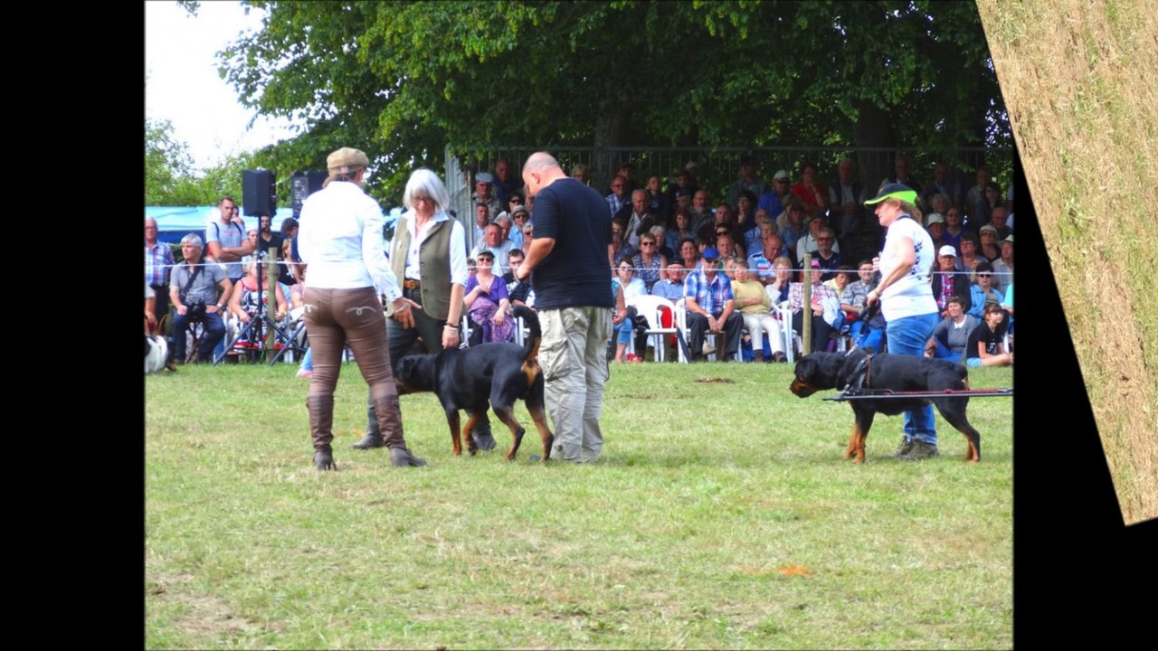 Carrouges 2014 Défilé du dimanche