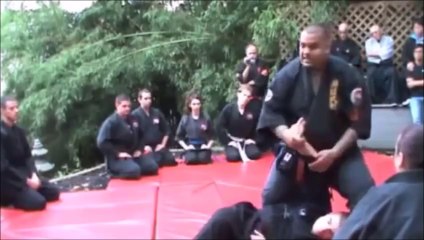 Hanshi Kevin Pereira Shishikan Compilation Video