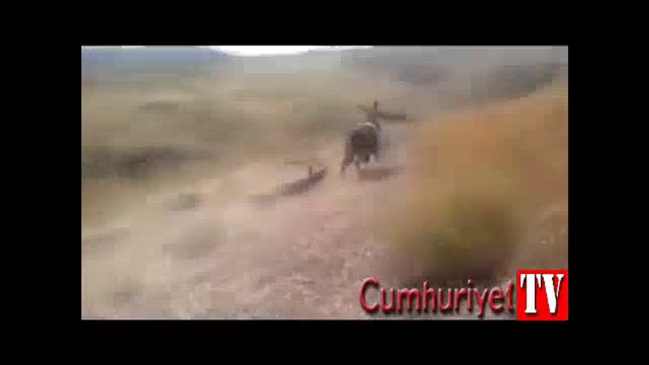 Köpekten korkan eşek sahibini perişan etti