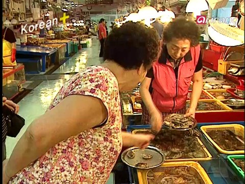 Traveler's Korean (Spanish Español) S2Ep18 ¿De dònde has venido? 어디에서 왔어요?