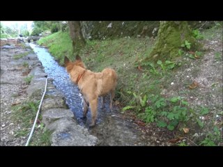 JEDAYE aux Cuves de Sassenage - Août 2014