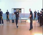 Rottura passiva Kung Fu Vietnamita M. Sergio Lena