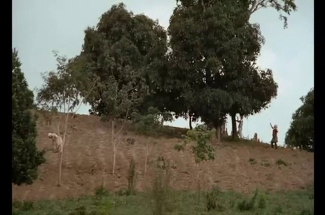 Sao Bernardo ( 1972 - extrait VO )