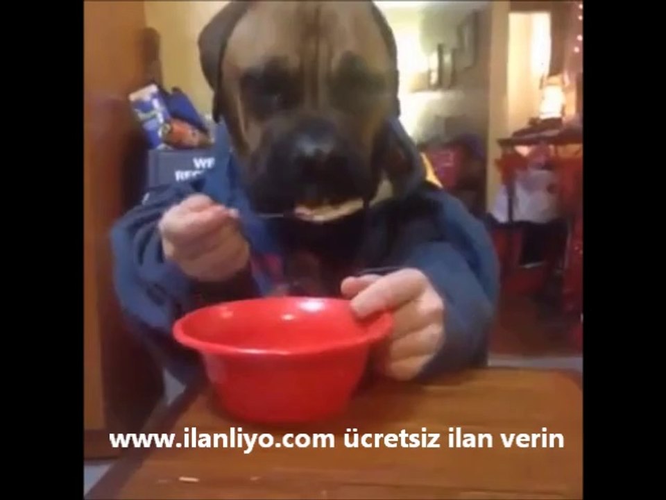 Yemek Mi Yesek