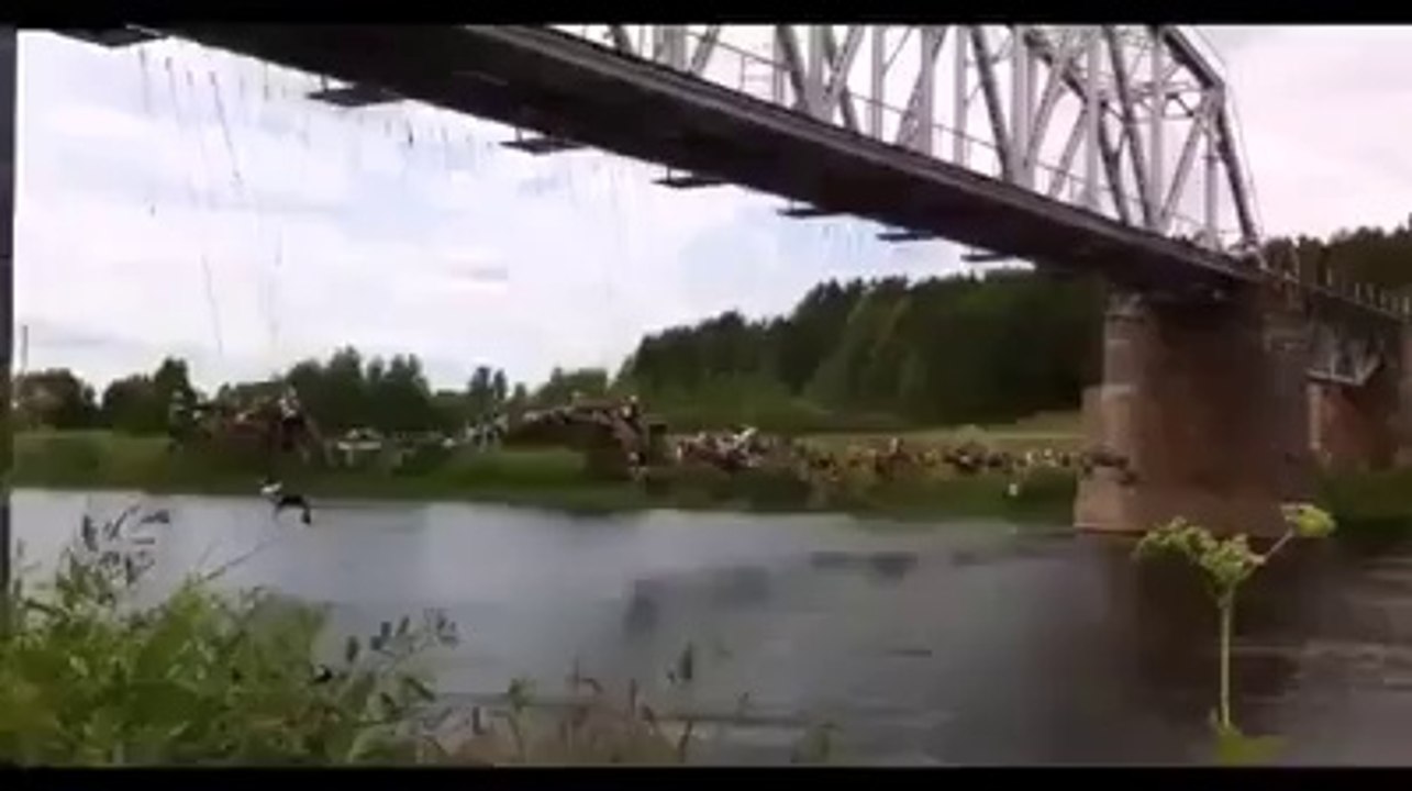 people diving in the river