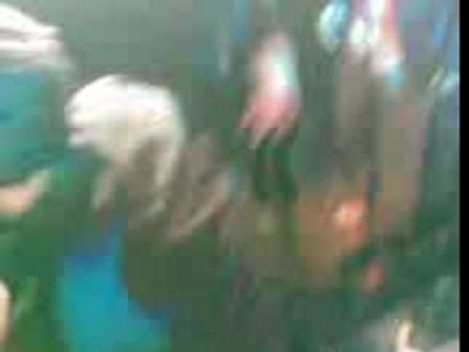 Fratelli 2007