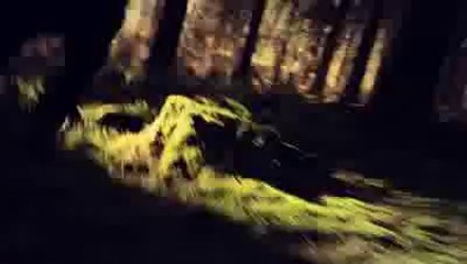 Henna Ilusiones de Papel